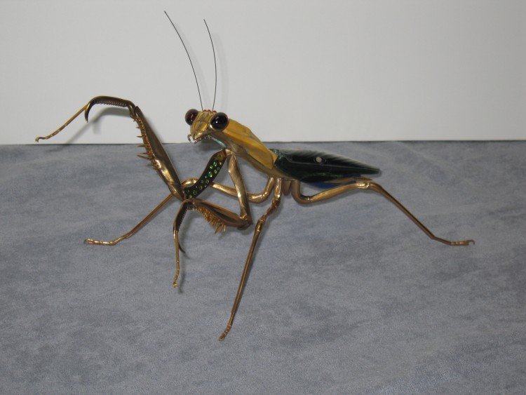 praying mantis