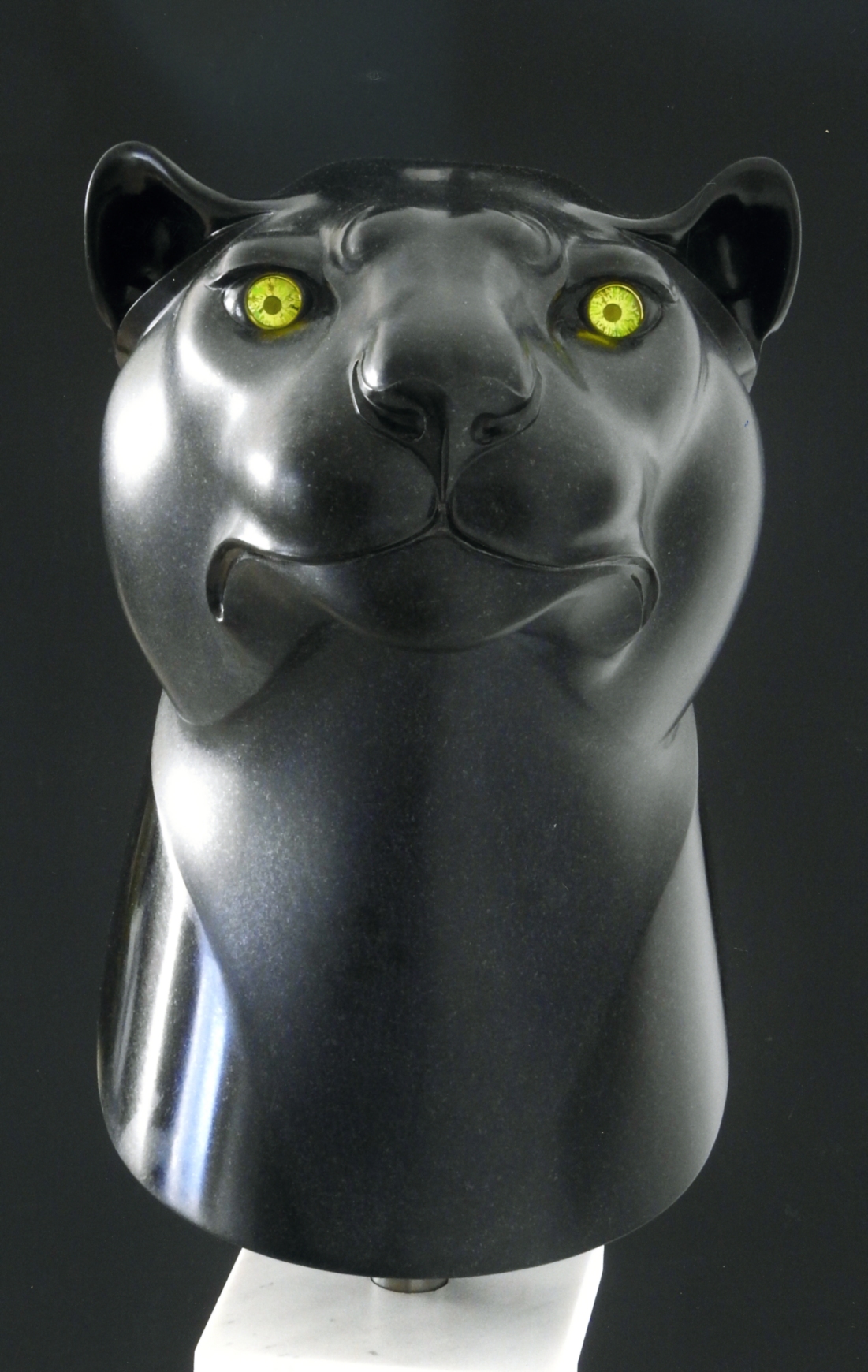stellar leopard