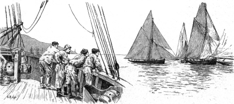 turn of century yachting