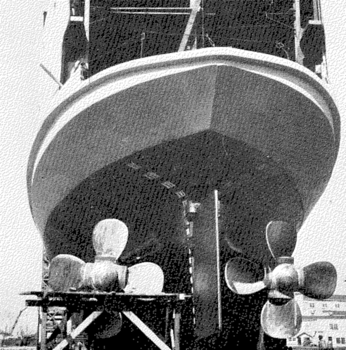 abegweit second photo