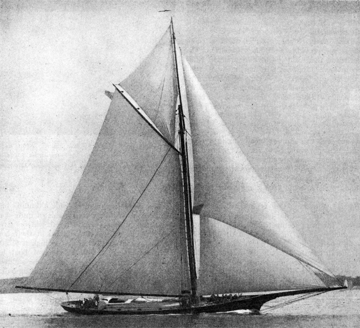 Hildegard