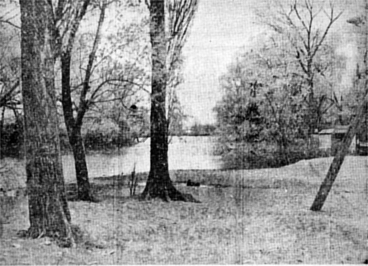 stoney creek